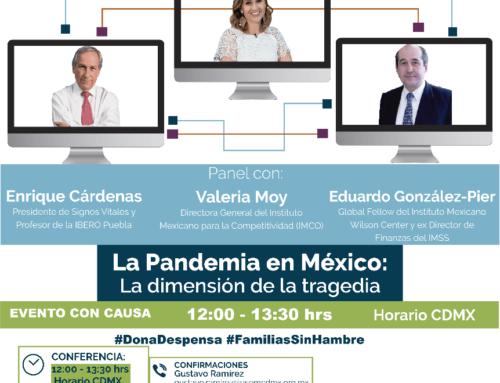 Panel La Pandemia en México: La dimensión de la tragedia