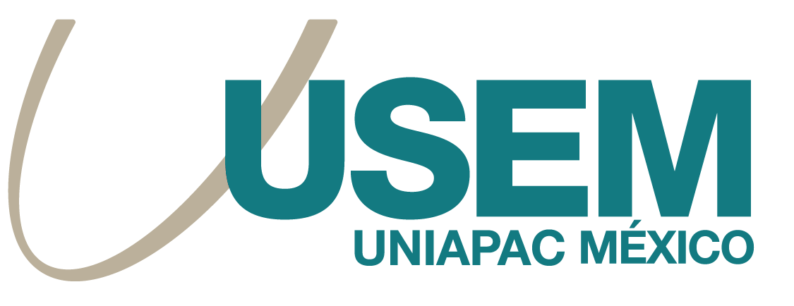 USEM Logo